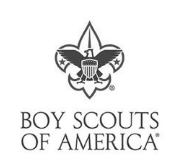 Boy Scouts Logo